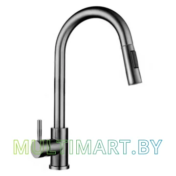 Смеситель Gross Aqua Neosteel 3140609SS